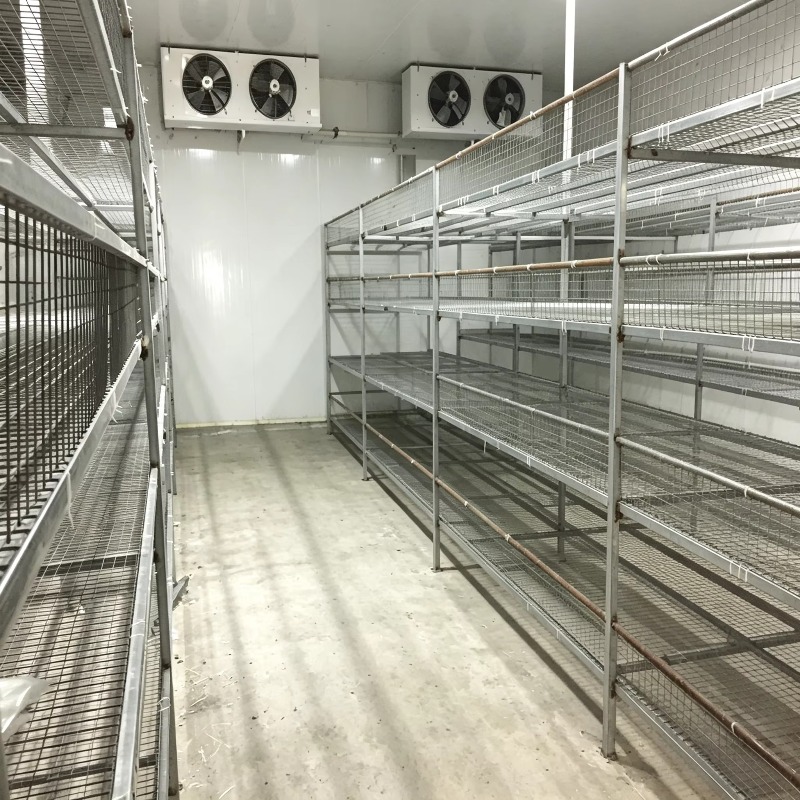 Hydroponische containerfarm me - Urban Farming Hydroponics recensie en prijs