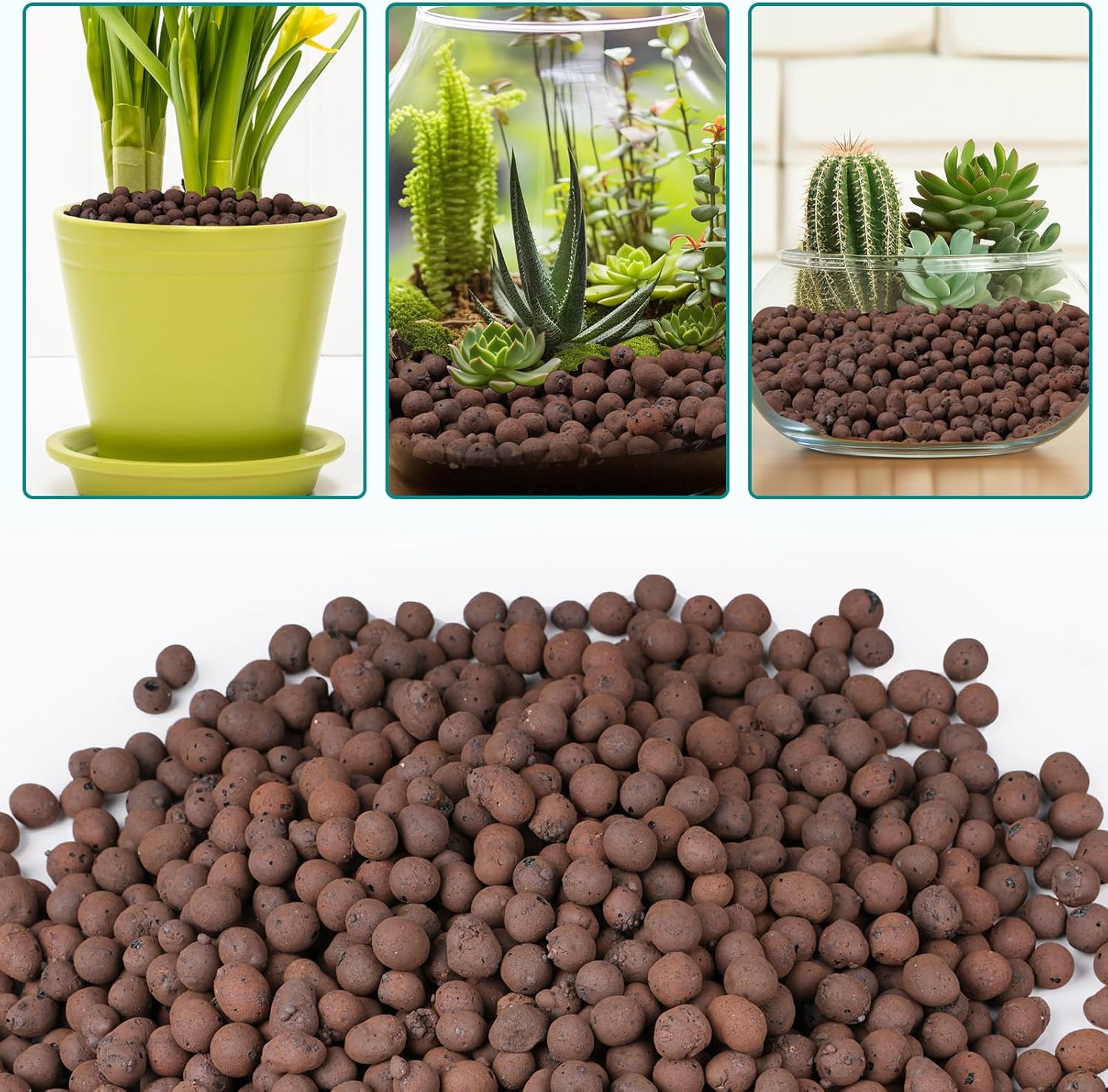 100/200G Kleikiezels voor plan - Clay Pebble Growing recensie en prijs